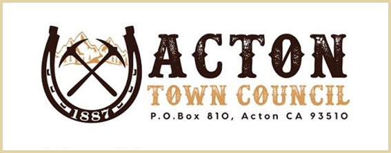 Acton Town Council