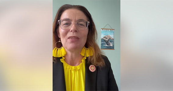 CA Bill AB 303, California Legislation, Battery Energy Safety and Accountability Act